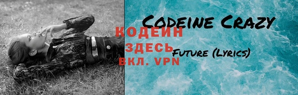 хмурый Волосово
