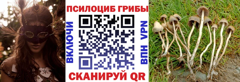 Псилоцибиновые грибы Cubensis  Ишимбай 